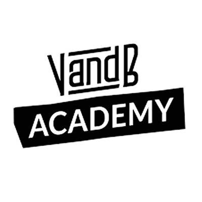logo v and b academy